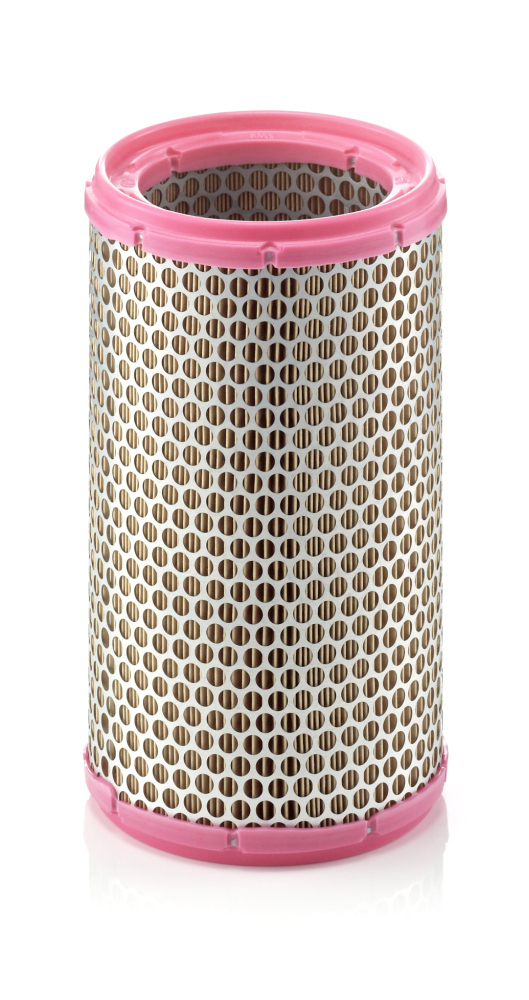 Filtru Aer Mann-Filter C 1589 3 - Protecție Motor