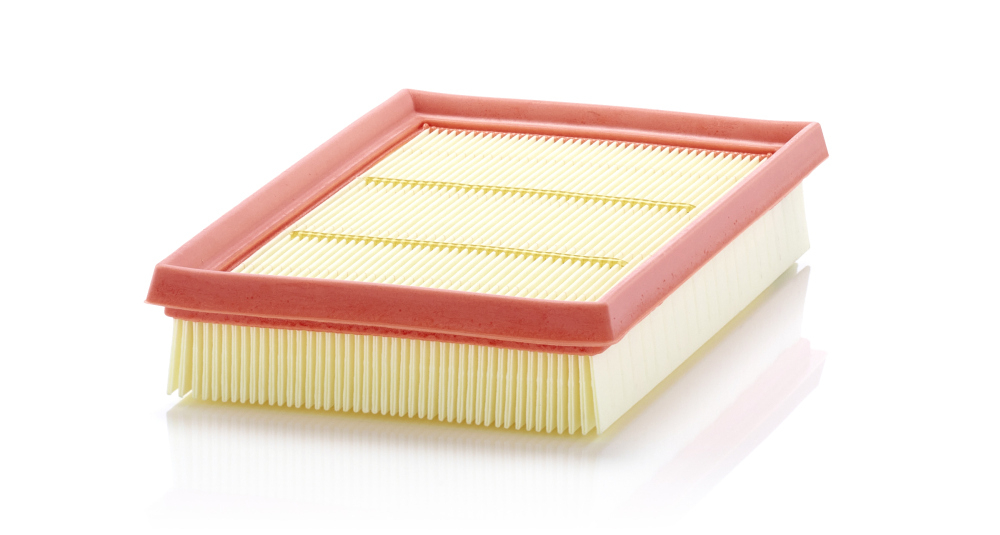 Filtru Aer Mann-Filter C 24 076 - Calitate OEM