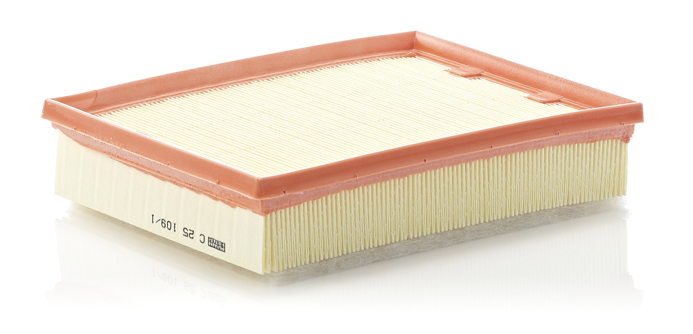 Filtru aer Mann-Filter C 25 109 1 - Protecție motor