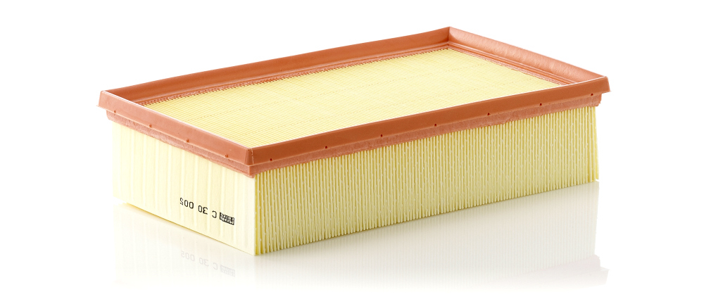Filtru Aer Mann-Filter C 30 005 - Protecție Motor