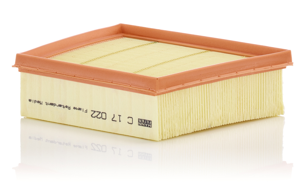 Filtru Aer Mann-Filter C 17 022 | Protecție Motor