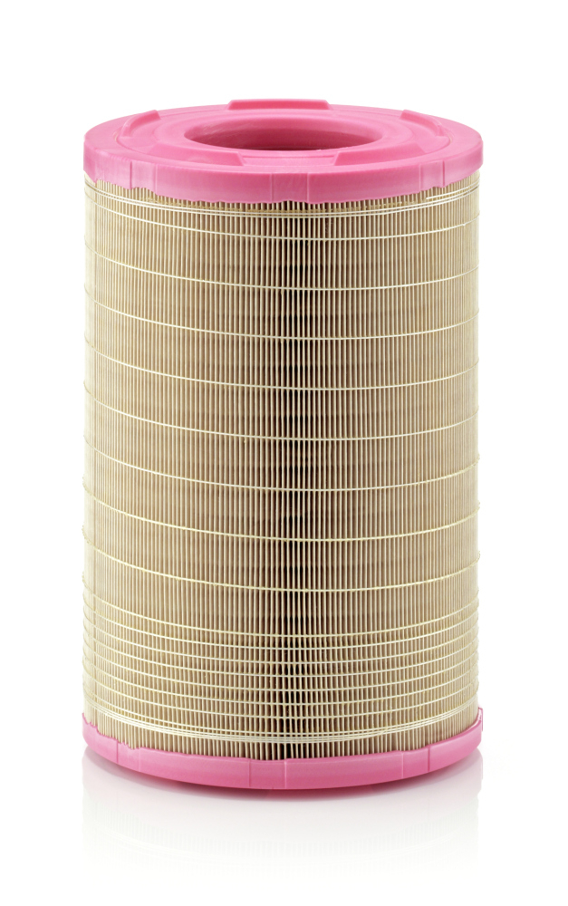 Filtru Aer Mann-Filter C 25 730 1 Protecție Motor