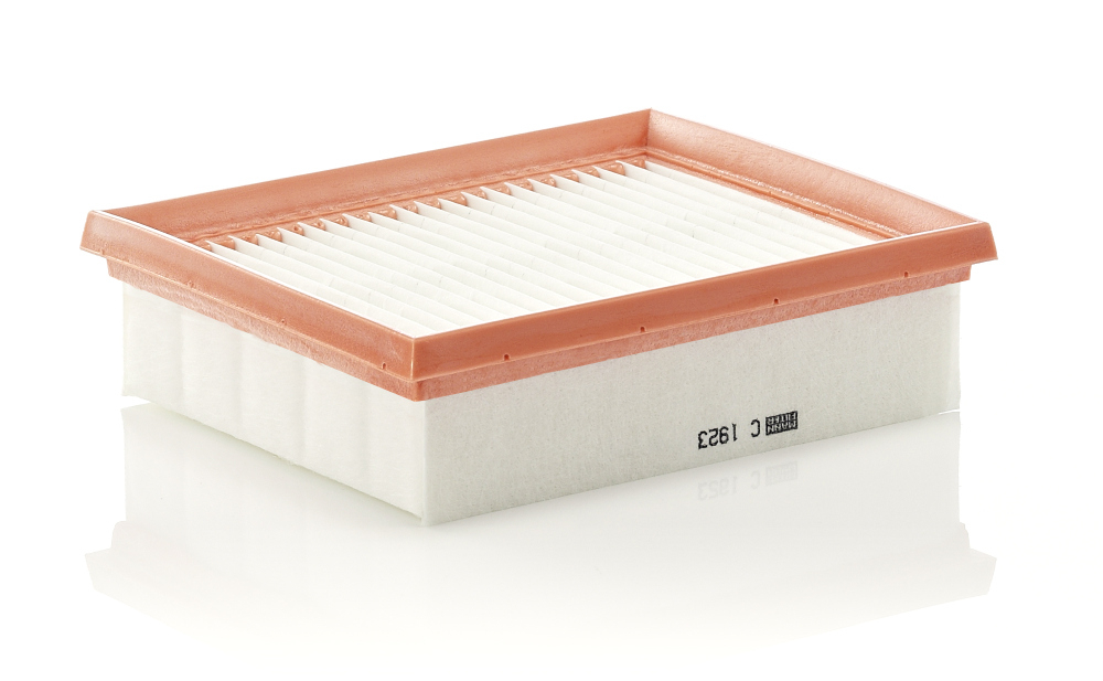Filtru Aer Mann-Filter C 1923 - Calitate Premium