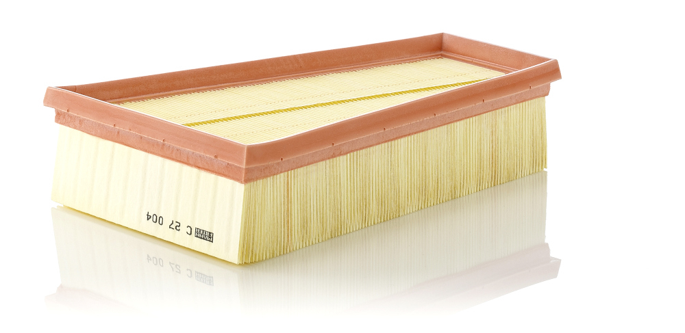Filtru Aer Mann-Filter C 27 004 | Protecție Motor