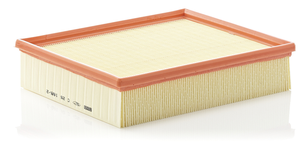 Filtru Aer Mann-Filter C 26 168 2 - Protecție Motor