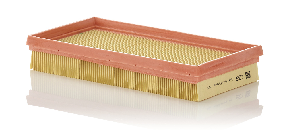 Filtru aer Mann-Filter C 2658 - Protecție Motor