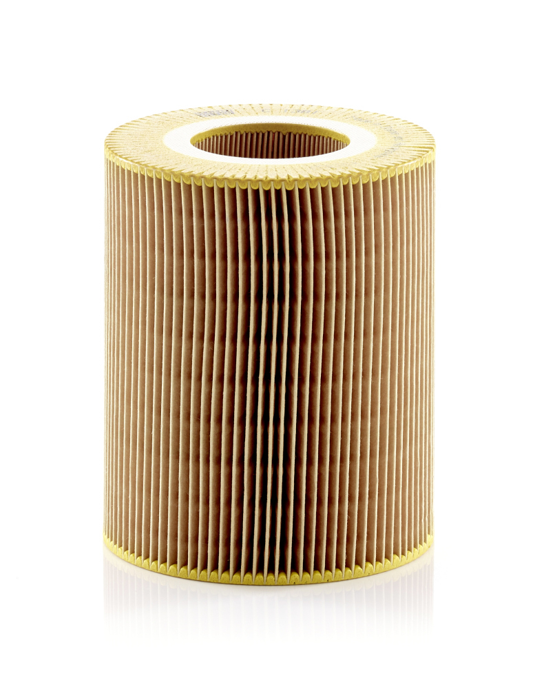 Filtru Aer Mann-Filter C 1381 - Protecție Motor