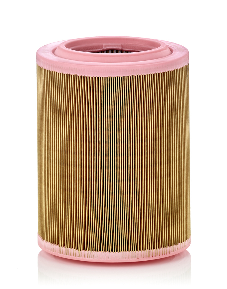 Filtru Aer Mann-Filter C 18 003 - Protecție Motor