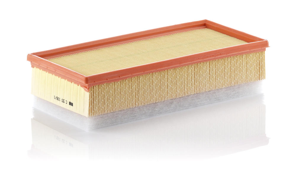 Filtru Aer Mann-Filter C 33 156 | Protecție Motor