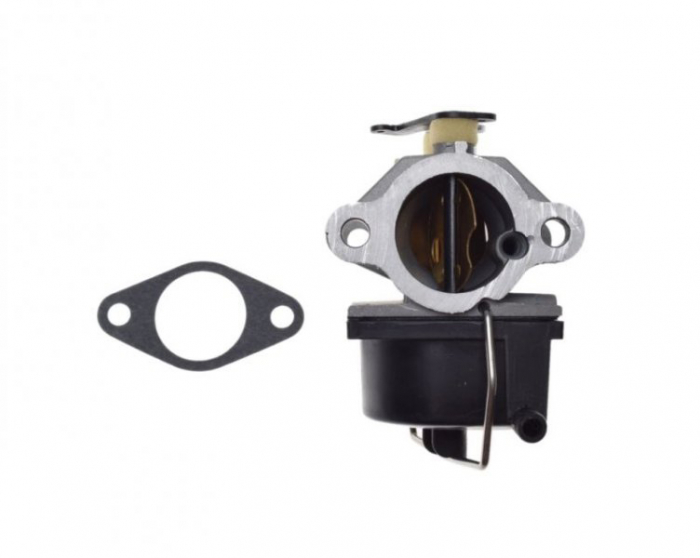 Carburator TecumSeh WMX - Reparație Rapidă