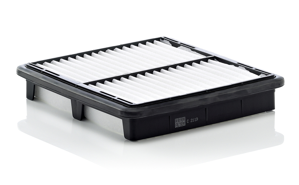 Filtru Aer Mann-Filter C 2119 | Protecție Motor