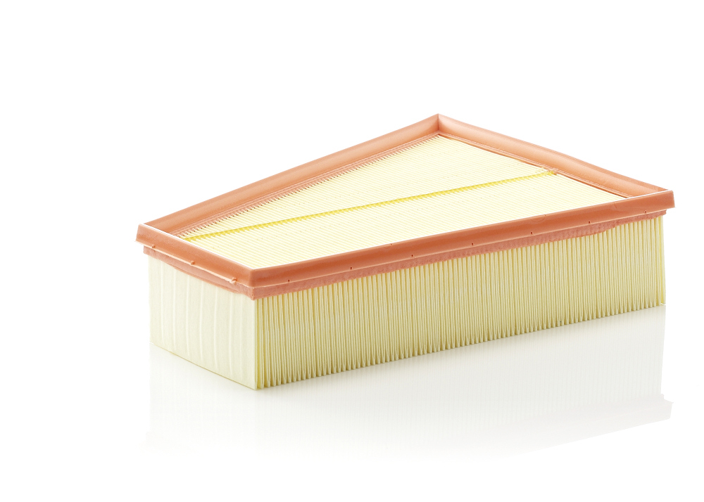 Mann-Filter C 30 161 - Filtru Aer Premium