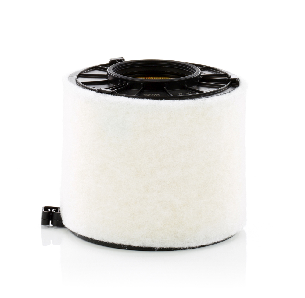Filtru Mann-Filter C 17 011 - Protecție Motor