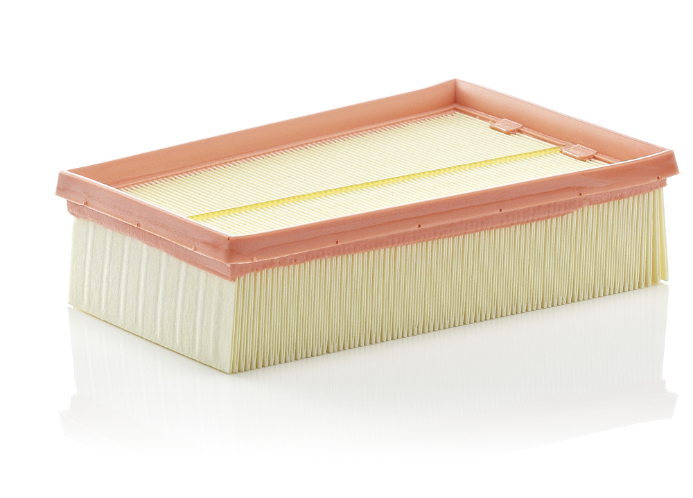 Filtru aer Mann-Filter C 2433 2 - Protecție Motor
