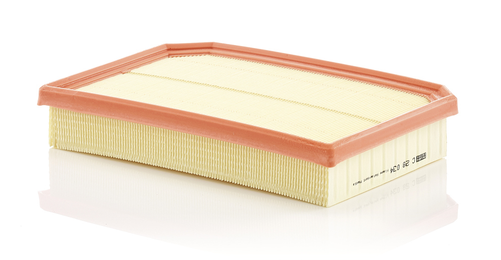 Filtru Aer Mann-Filter C 28 034 - Protecție Motor
