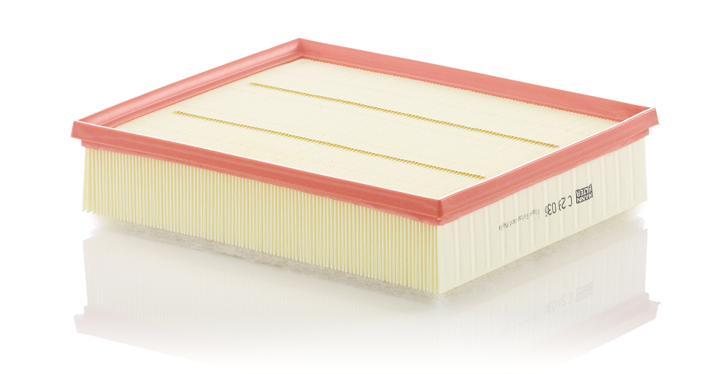 Filtru Aer Mann-Filter C 29 036 - Protectie Motor