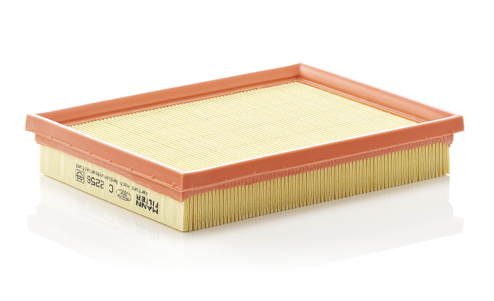 Filtru Aer Mann-Filter C 2256 - Protecție Motor