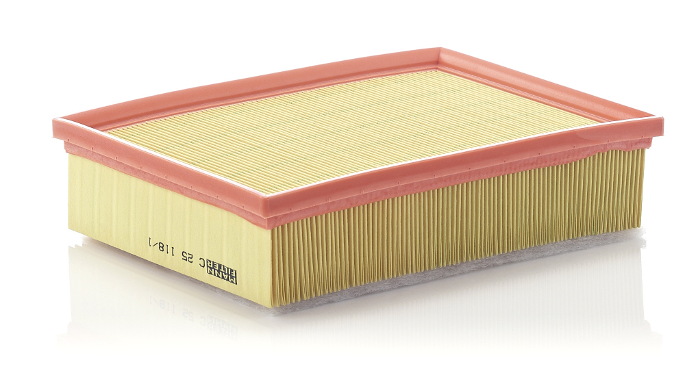 Filtru aer Mann-Filter C 25 118 1 Protecție Motor