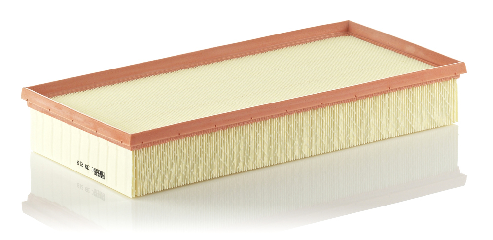 Filtru Mann-Filter C 39 219 - Protecție Motor