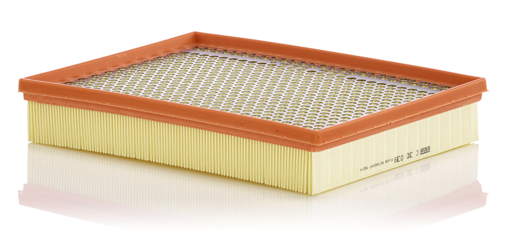 Filtru aer Mann-Filter C 30 039 - Protecție Motor