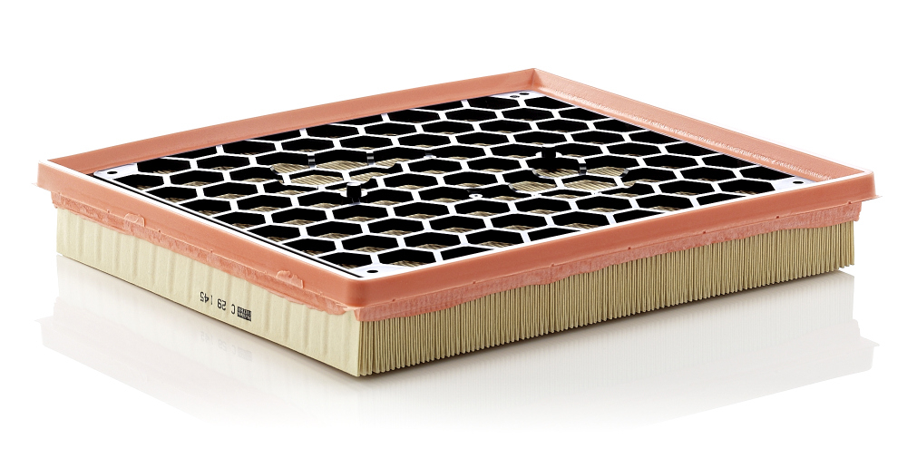 Filtru Mann-Filter C 29 145 - Protecție Motor