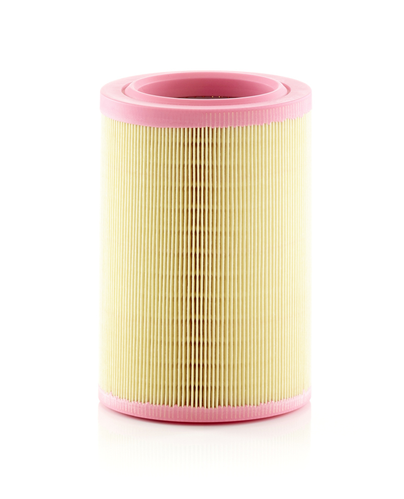 Filtru Aer Mann-Filter C 15 005 - Protecție Motor