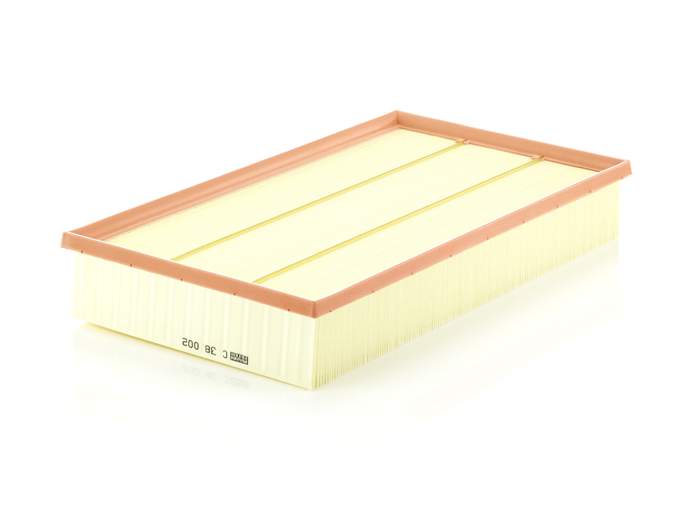 Filtru aer Mann-Filter C 38 002 | Performanță