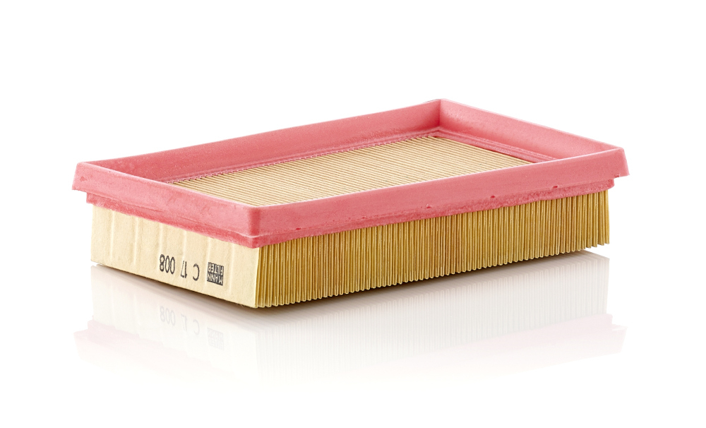 Filtru Aer Mann-Filter C 17 008 | Protecție Motor