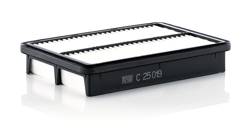 Filtru Aer Mann-Filter C 25019 | Protecție Motor