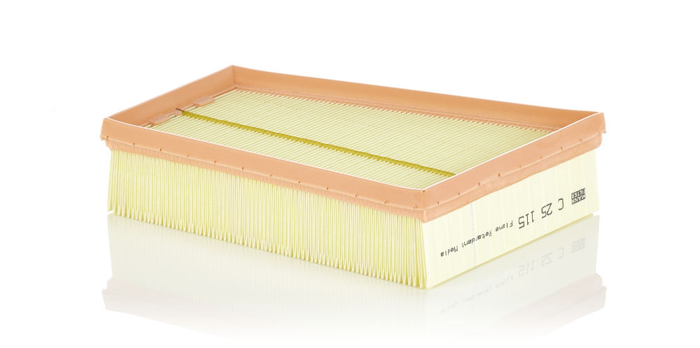Filtru Aer Mann-Filter C 25 115 - Performanță Superioară - imagine 1