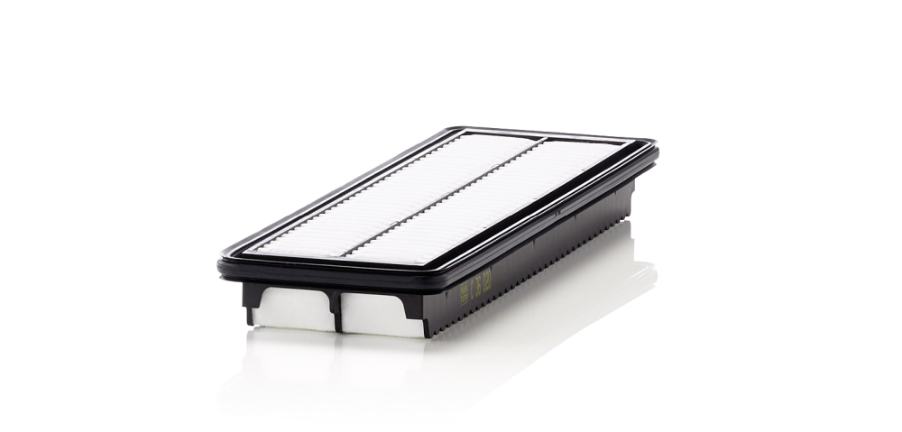 Filtru aer Mann-Filter C 36 020 - Protecție Motor