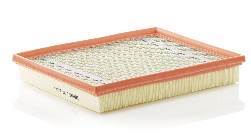 Filtru Aer Mann-Filter C 30 130 | Protecție Motor