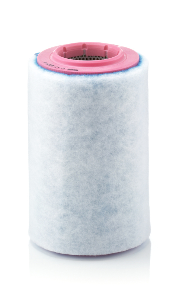 Filtru aer Mann-Filter C 17 237 1 | Protecție Motor