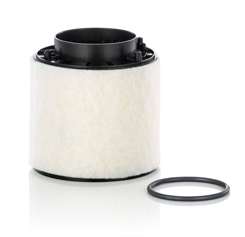 Filtru aer Mann-Filter C 16 114 - Protecție Motor