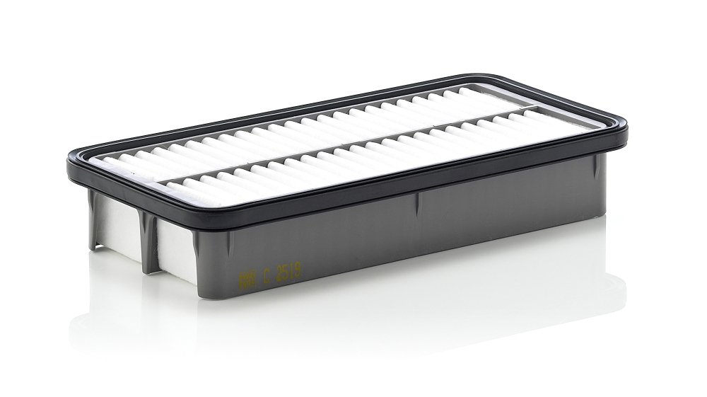 Filtru Aer Mann-Filter C 2519 - Protecție Optimală