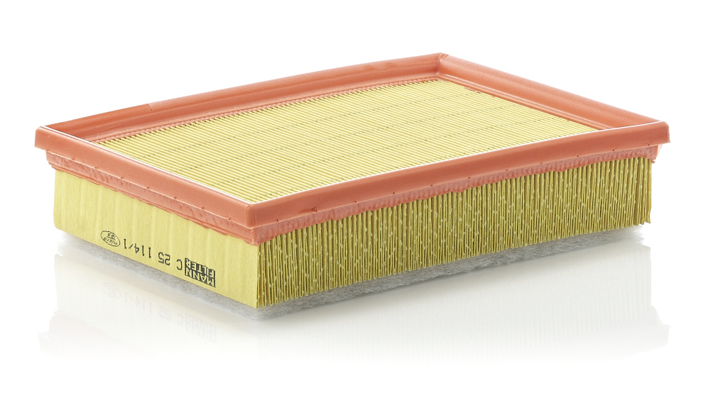 Filtru Aer Mann-Filter C 25 114 1