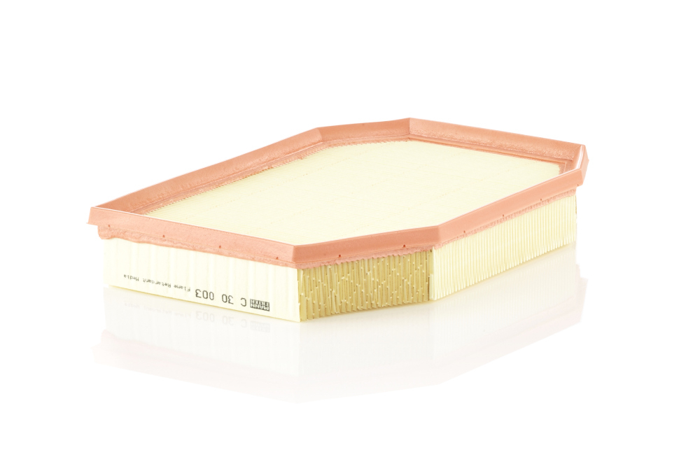Filtru Aer Mann-Filter C 30 003 Original