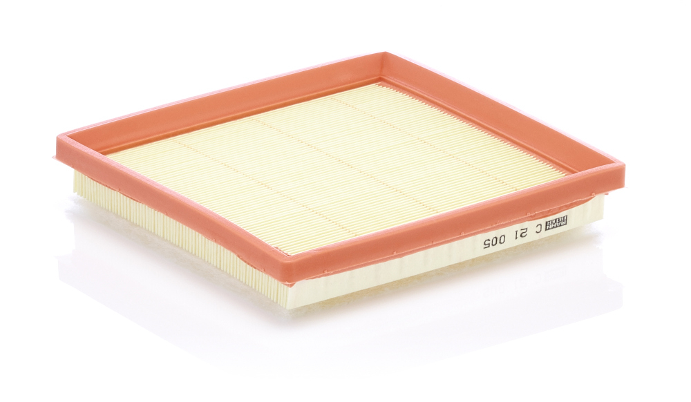 Filtru Aer Mann-Filter C 21 005 | Protecție Motor