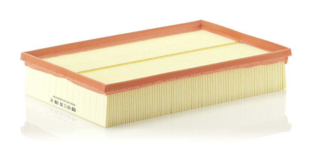 Filtru aer Mann-Filter C 30 189 - Protecție Motor