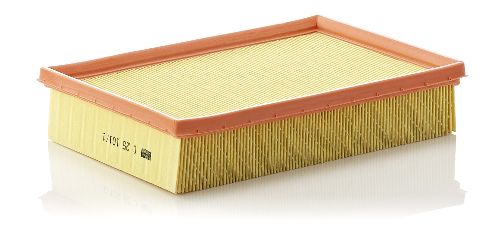 Filtru aer Mann-Filter C 25 101 | Protecție Motor - imagine 1