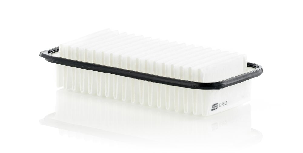 Filtru Aer Mann-Filter C 2513 - Protecție Motor