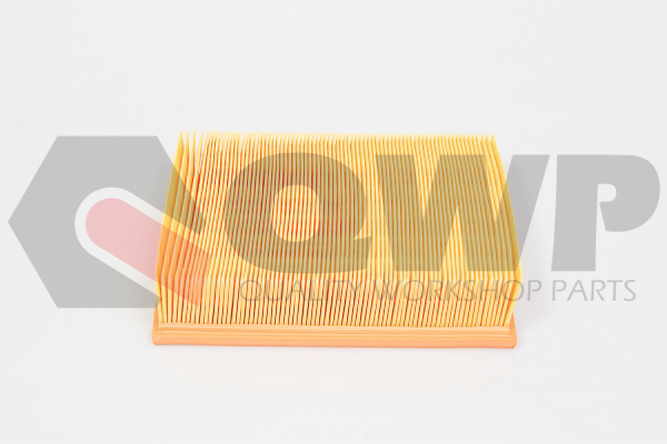 Filtru Aer QWP WAF113 | Protecție Motor