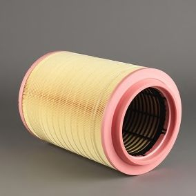 Filtru Aer Donaldson P786443 - Protecție Motor