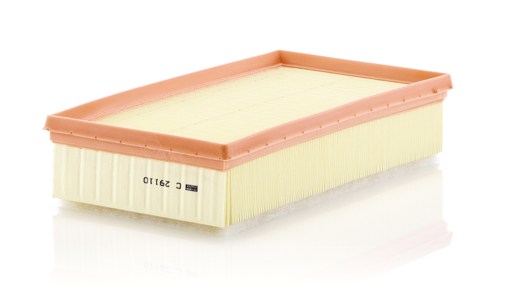 Filtru Aer Mann-Filter C 29 110 - Protectie Motor