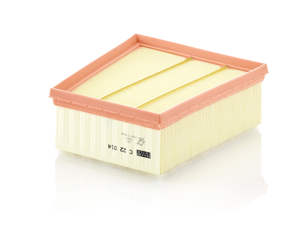 Filtru aer Mann-Filter C 22 014 - Protecție motor