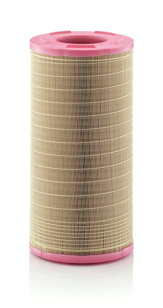 Filtru Aer Mann-Filter C 25 978 - Protecție Optimă