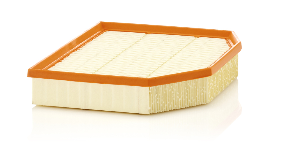 Filtru aer Mann-Filter C 29 132 - Protecție Motor