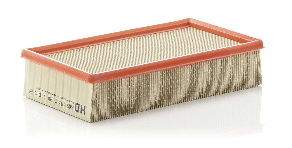 Filtru Aer Mann-Filter C 26 110 1 - Protecție Motor
