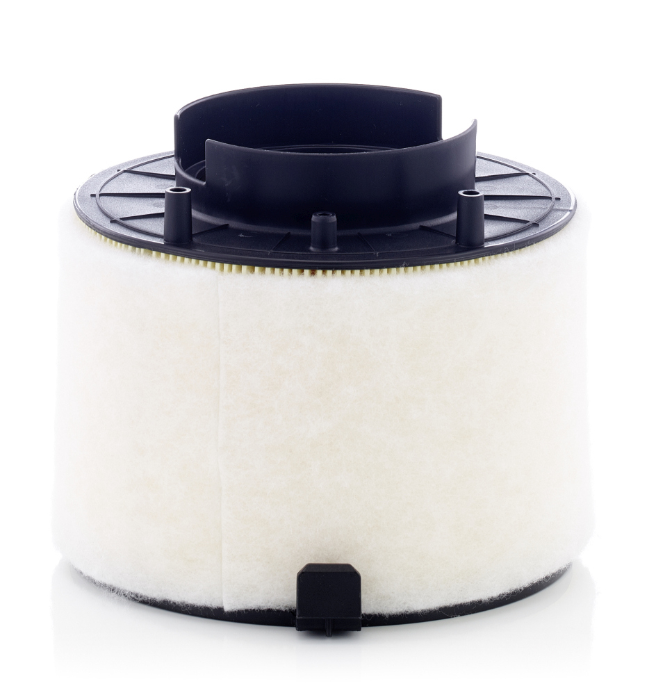 Filtru Aer Mann-Filter C 17 009 | Protecție Motor
