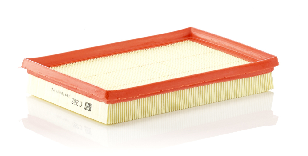 Filtru Aer Mann-Filter C 2562 - Protecție Motor